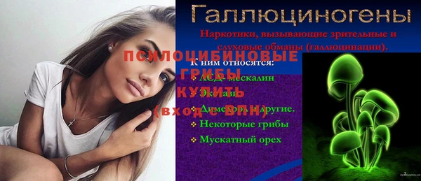 герыч Арсеньев
