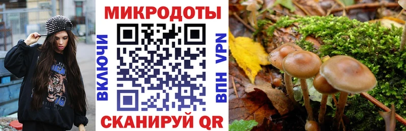 Галлюциногенные грибы Magic Shrooms Суоярви